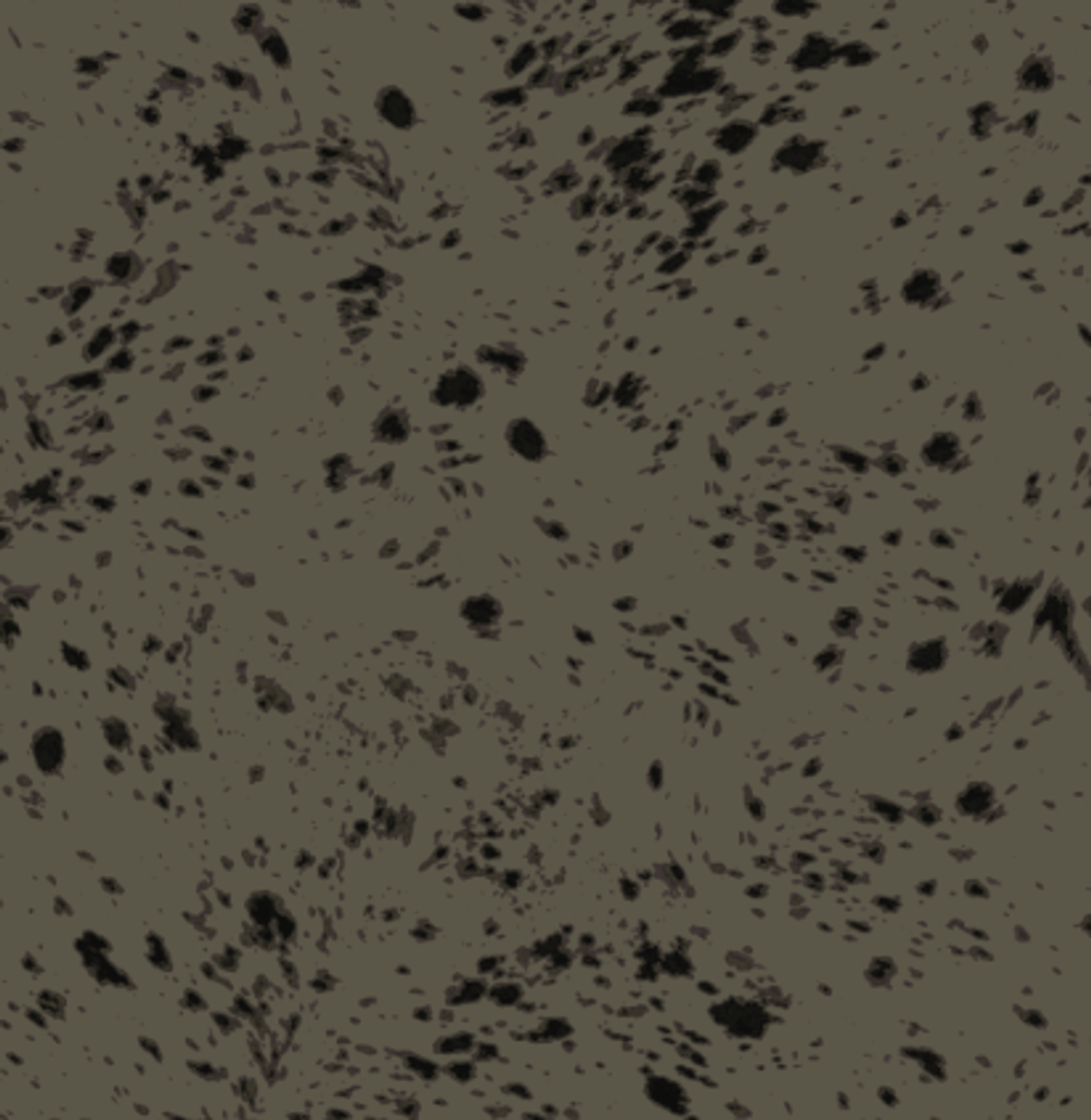 SHILOH KJOLE PART TWO