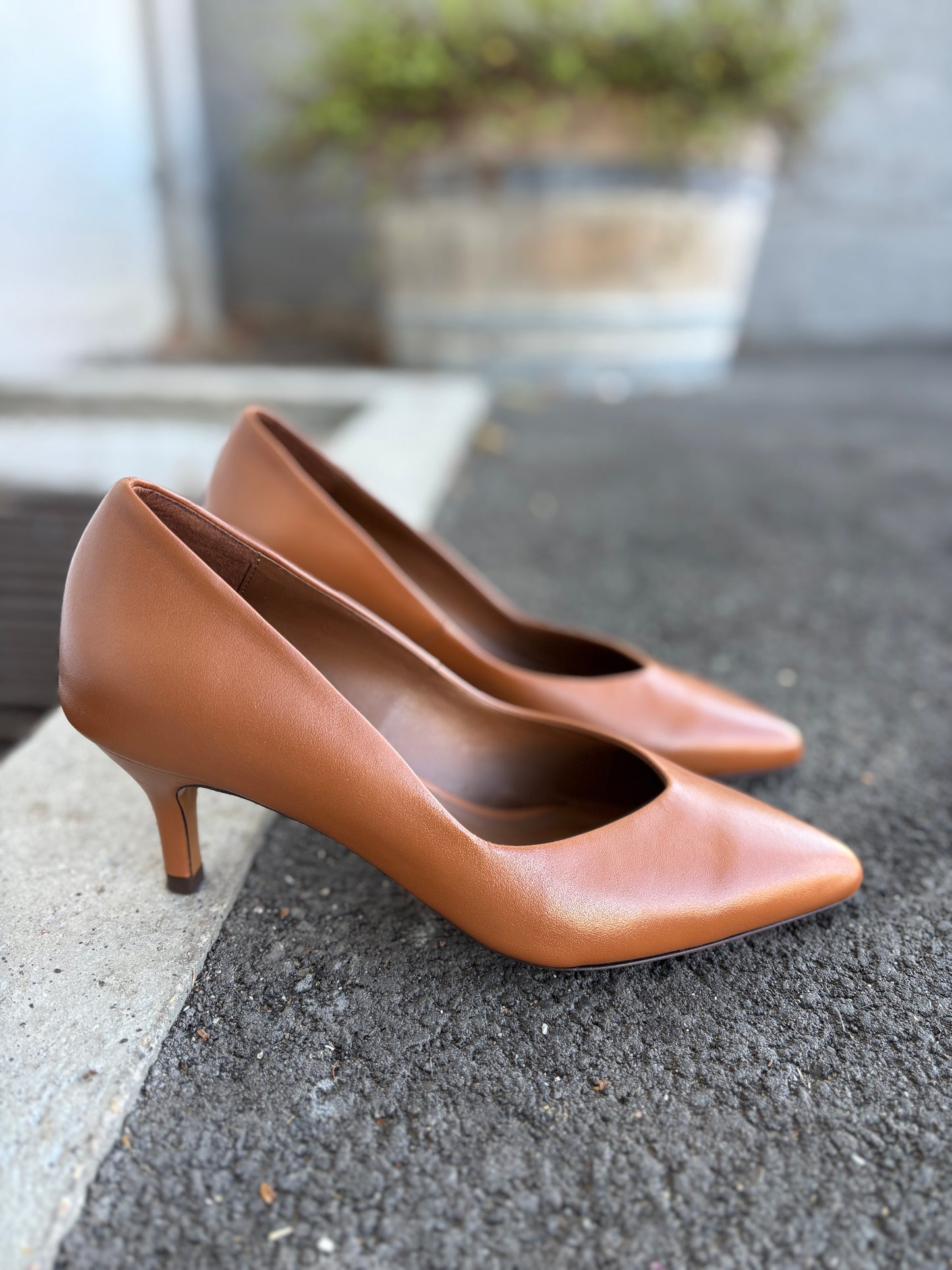 TRINI 55 PUMPS ANO·CPH