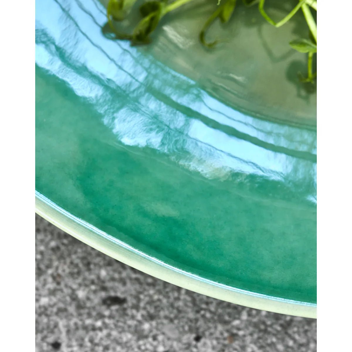 DIVA DINNER PLATE HD - LifeStyle Hedensted