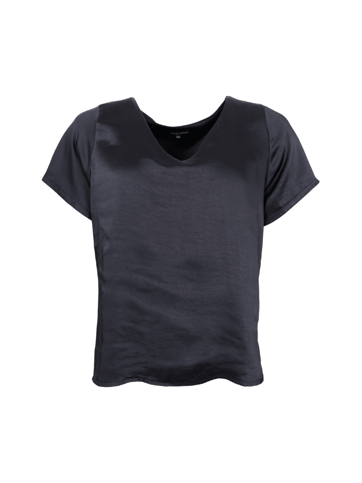 LUCINDA V-NECK SS BLUSE BC (68) - LifeStyle Hedensted