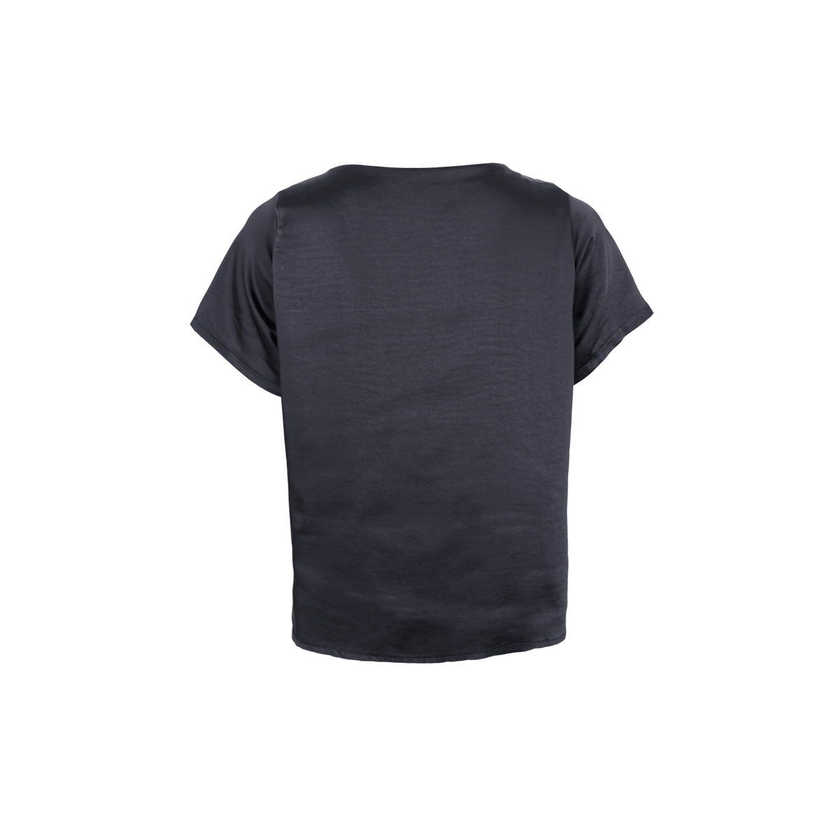LUCINDA V-NECK SS BLUSE BC (68) - LifeStyle Hedensted